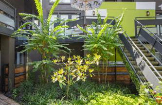 Spacious Dallas 2BR Condo Pool View - Foto 37