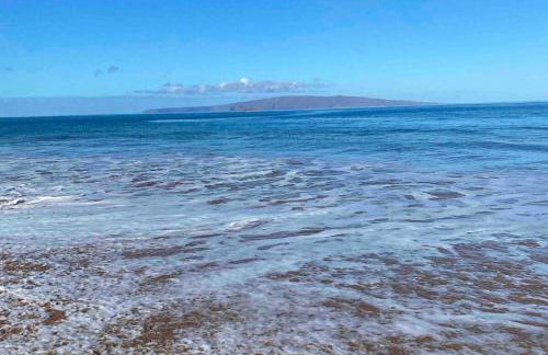 Wailea Hidden Gem - Foto 56