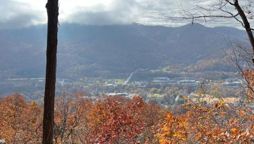 Japandi - Scandinavian Retreat, Mountain View, and 20 Minutes to Asheville - Foto 4