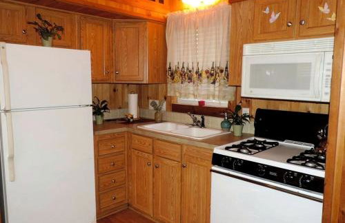 Peaceful Pet-Friendly Cabin Rental in San Antonio Countryside, Texas - Foto 8