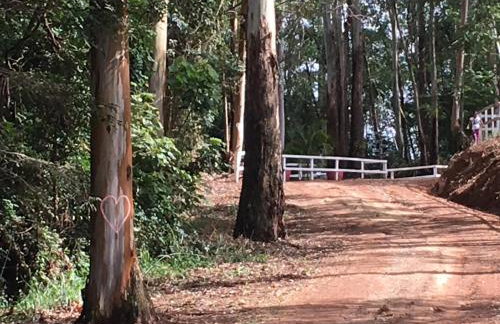 Fazenda Boutique Vila dos Eucaliptos - Foto 28