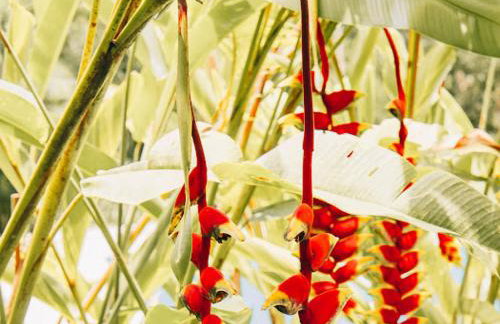 Sitio só Alegria com roupas de cama e banho - Foto 53