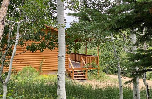 Whistle Pig Retreat at 22 West Cabins and Recreation - Foto 50