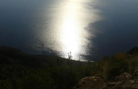 la casa di titti e jack - Foto 42