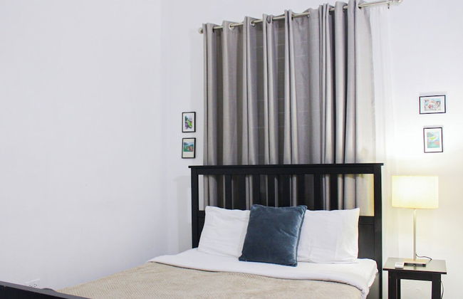 Gladiolas 2203 - Foto 3