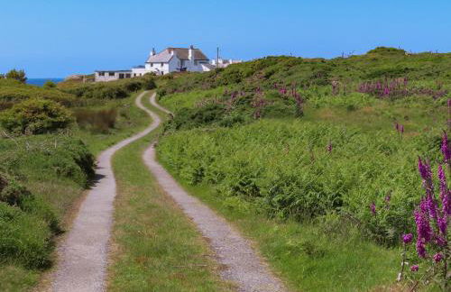 Pant yr Hyman - Foto 70