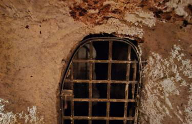 El Granero de Manzanares - Foto 24