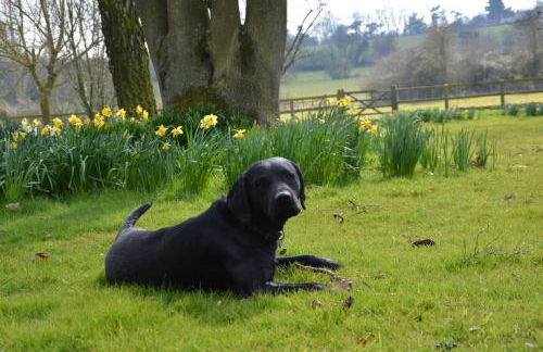 Bird Cottage, Burgh - Foto 16