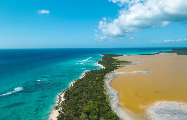Excursion à l'île de Saona en bateau - Photo 6
