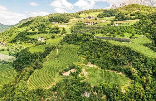 Grottnerhof - Foto 10