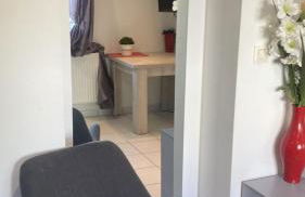 Studio - Carré de Soie Vaulx en Velin - Foto 15