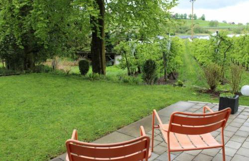 Lake Constance Garden Comfortable holiday residence - Photo 12