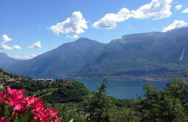 Residence Garden - Foto 2