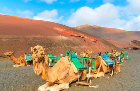 The Colors House, 639 Private Apartment - Foto 37