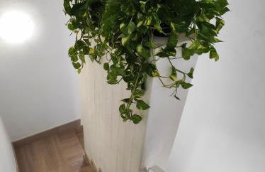 Villa Orizzonte sullo Jonio - Foto 41