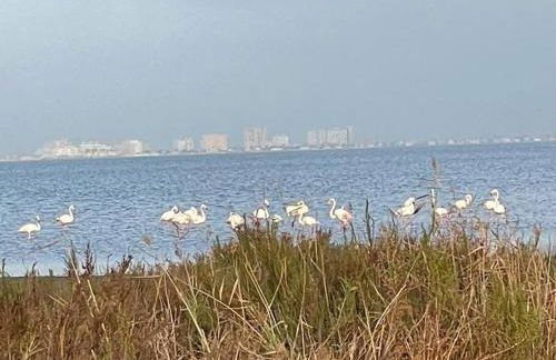 Villa VistaMar Retreat El Carmoli - Foto 31