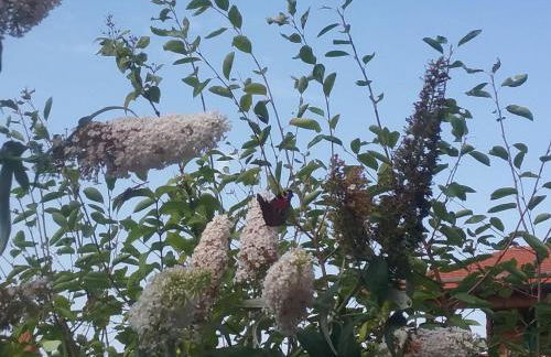 HOME4GOLF Uttlau - Foto 31