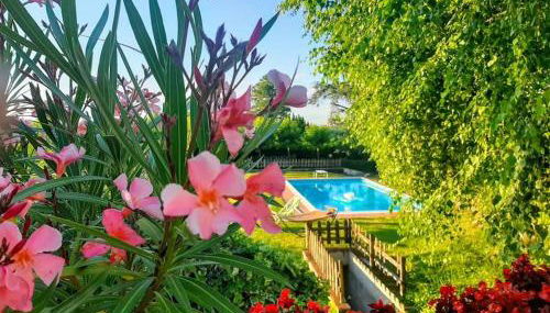 Ca' San Lorenzo - Villa panoramica con piscina - Vignale Monferrato - Foto 2