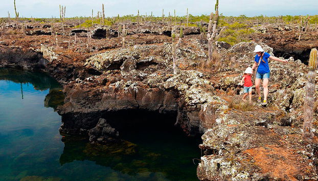 Cabo Rosa Tunnels - Tagestour - Foto 2