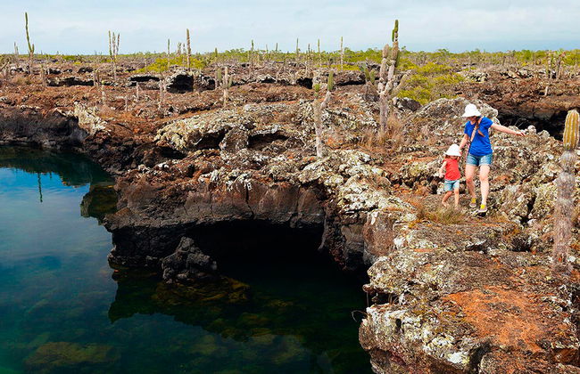 Cabo Rosa Tunnels - Tagestour - Foto 2