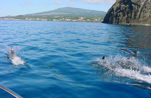 Casa das Cinco - Photo 53