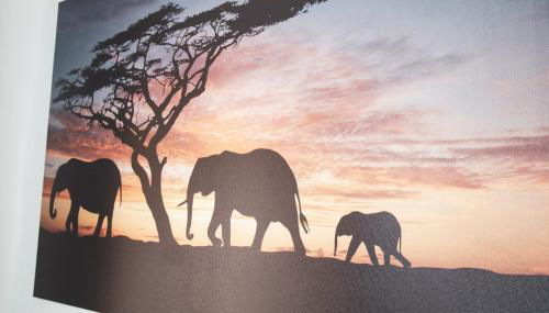 FullHouse - Halle - T28 - Elephant Apartment - Foto 5