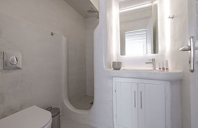 9 Muses Villas Mykonos - Photo 75