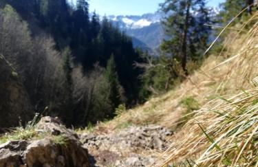 Ferienwohnung Brunnäcker - Foto 26