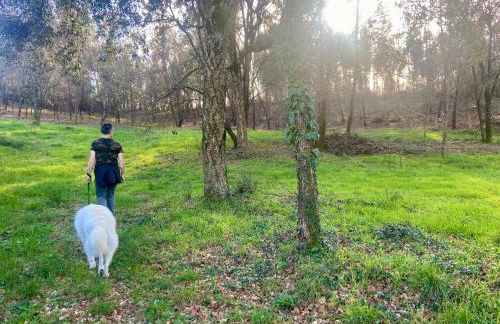 Quinta do Senhor - Foto 45