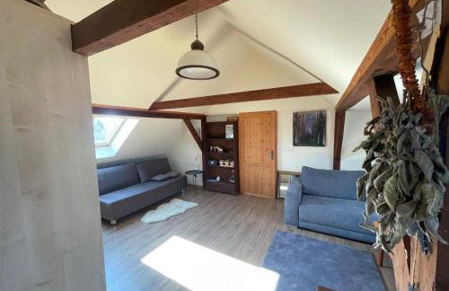 Dzika Foka Wiosłowa 49 - Photo 22