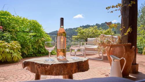 Charme provençal Les amandiers piscine et animaux - Foto 4