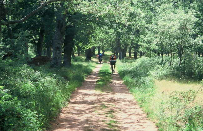 La Casa del Vino - Foto 37