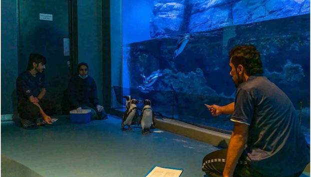 Oman Aquarium Tickets - Foto 5