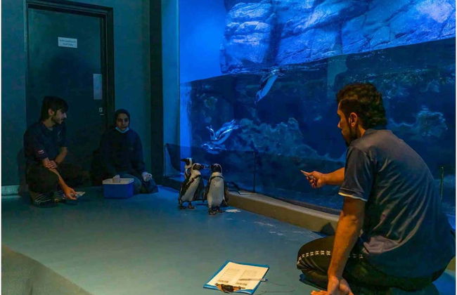 Oman Aquarium Tickets - Foto 5