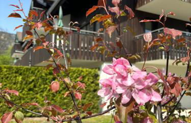 Bader Suites - Foto 62