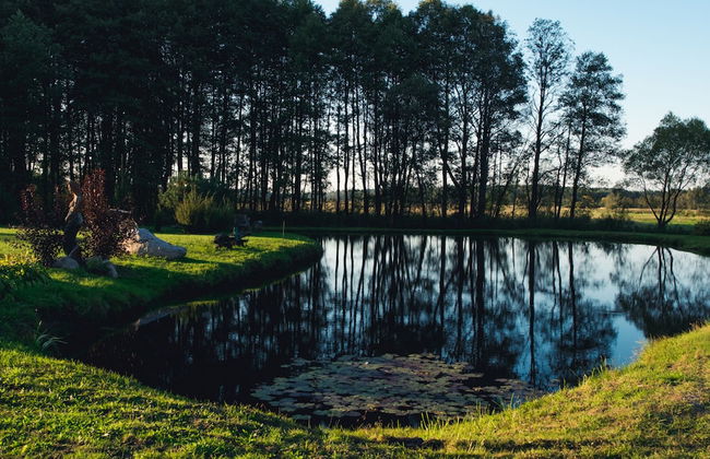 Agrousadba Mechta - Foto 10