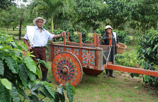 Costa Rican Coffee & Chocolate Tour - Foto 1
