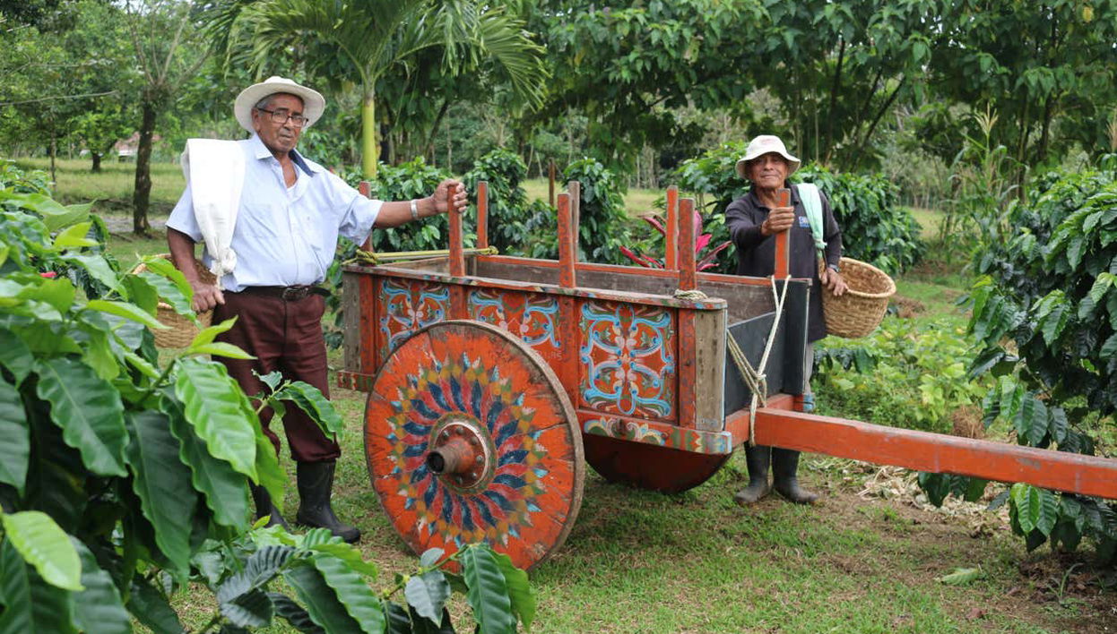 Costa Rican Coffee & Chocolate Tour - Foto 1