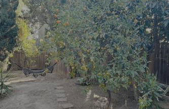 Adorable 4 bedroom home with Pool & more - Foto 22