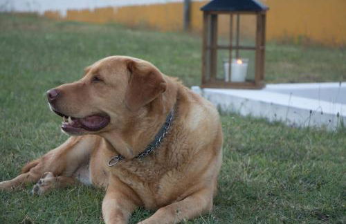 Quinta da Alcaidaria Mor - Foto 38