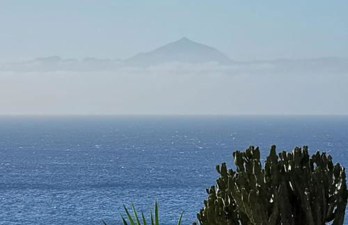 AGAETE PARADISE - Foto 13