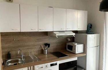 Appartement Cern Geneve Terrasse Station de ski - Foto 5