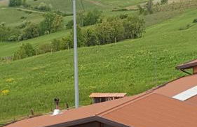 Allevamento B&B - Foto 77