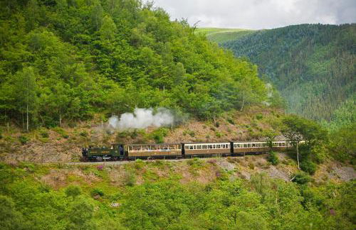 Coedmor Cottages - Foto 75