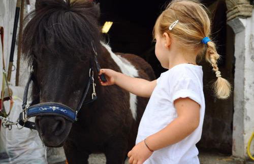Agriturismo Randis - Foto 39