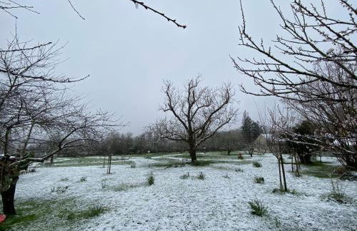 Gîte au calme avec jardin et wifi à Saint-Doulchard - FR-1-586-68 - Foto 17