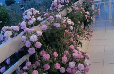 KONTOGIANNIS lihas club 2 - Photo 21