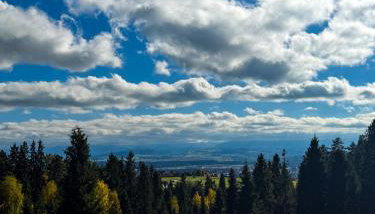 Domek pod Modrzewiem - Foto 4