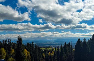 Domek pod Modrzewiem - Foto 4