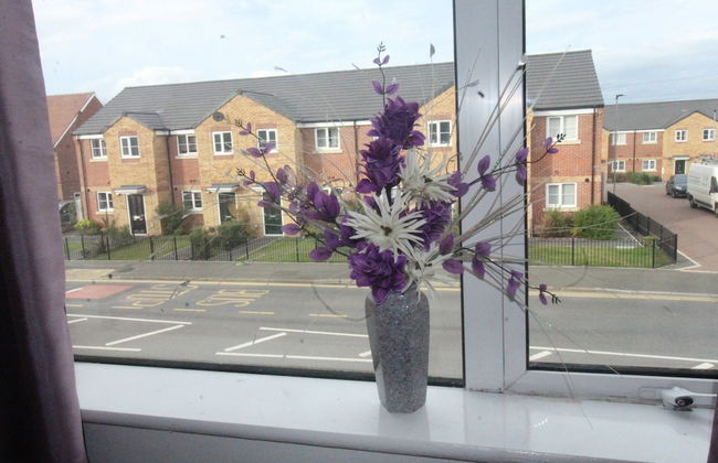 Doe Quarry - Photo 25